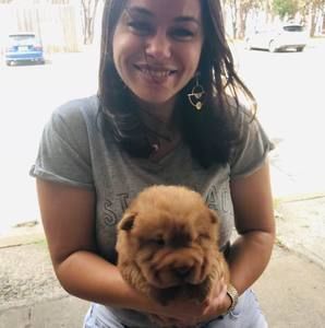 Meet your Posher, Dora